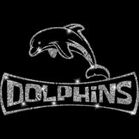 GLT94 SILVER GLITTER Thumbnail